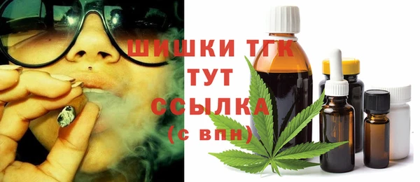 тгк Алексин