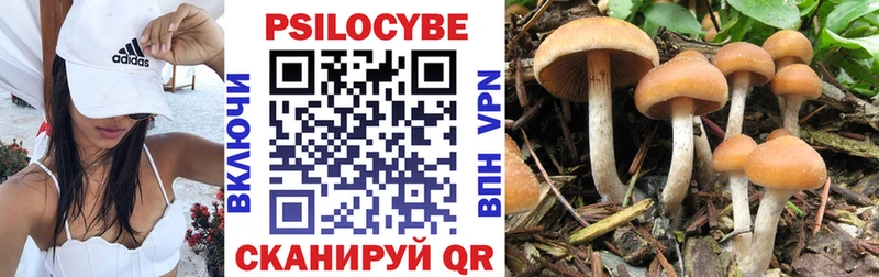 купить закладку  Ачинск  Псилоцибиновые грибы мухоморы 