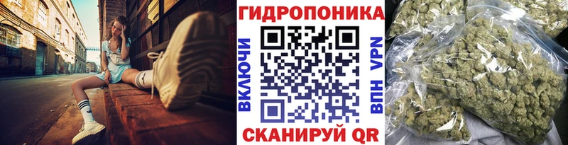 купить   Ачинск  Шишки марихуана индика 